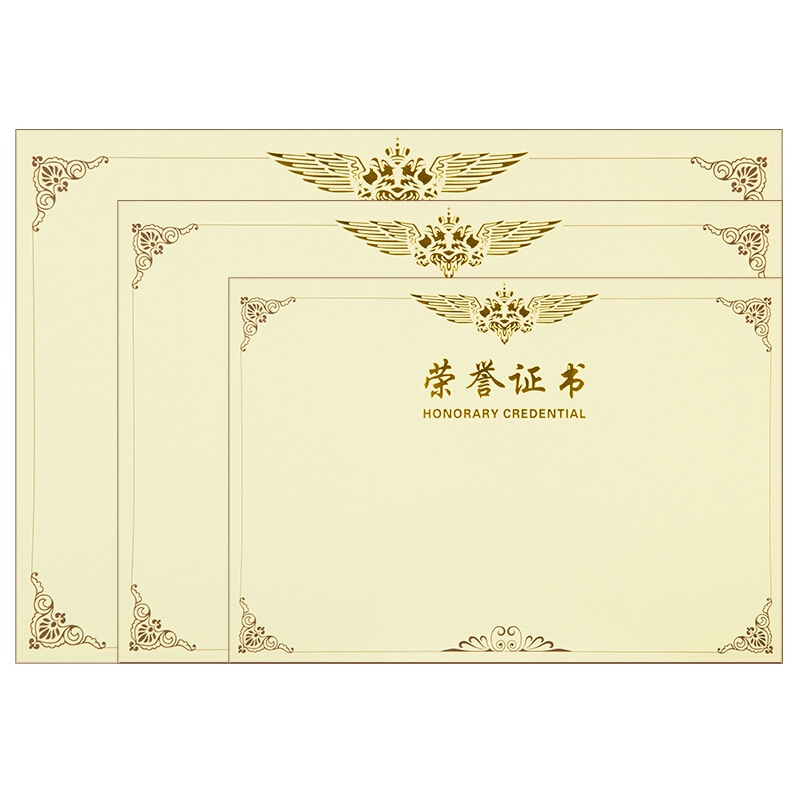 DELI/得力 荣誉证书内芯 3231 黄色 336*240mm 50张/包 单位:包