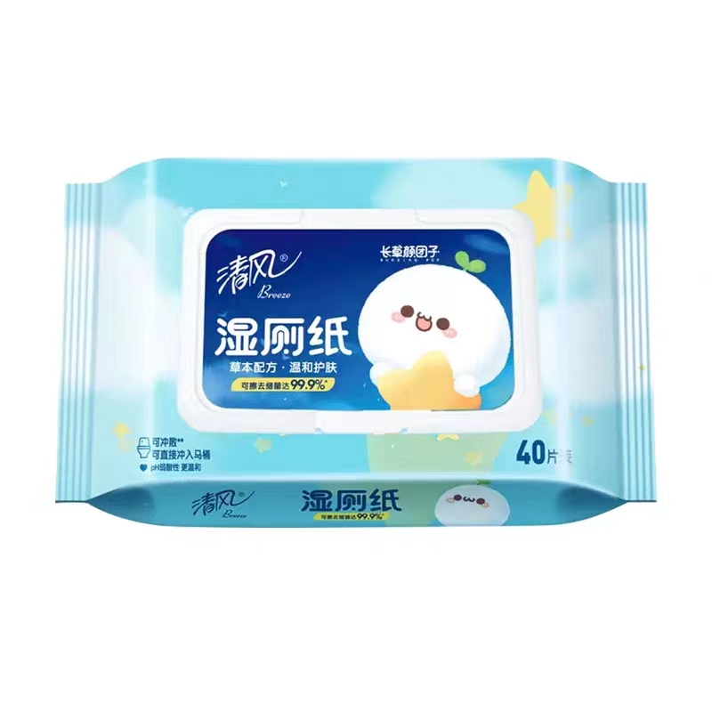 BREEZE/清风 湿厕纸巾 BWB40W2 40片 单位:箱