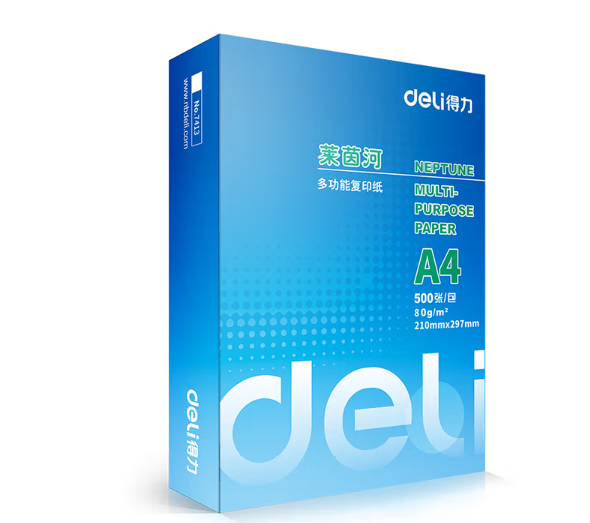 DELI/得力 莱茵河复印纸 7419 A4 80g   500张/包 5包/箱 单位:包