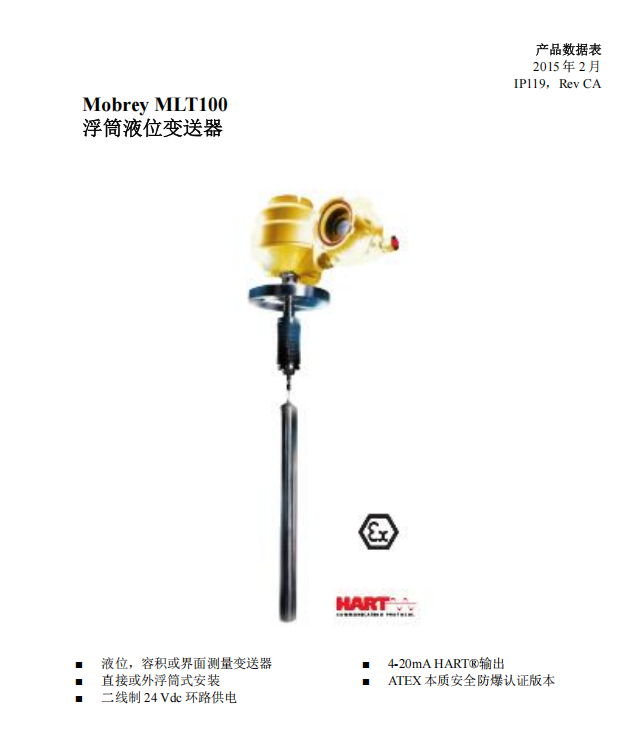 Delta Mobrey Ltd 浮筒液位计电路板 LTS65TFAN5BA00AQ P/N:FAN4947量程0-3m 单位:个